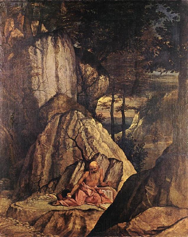 LOTTO, Lorenzo Penitent St Jerome sg